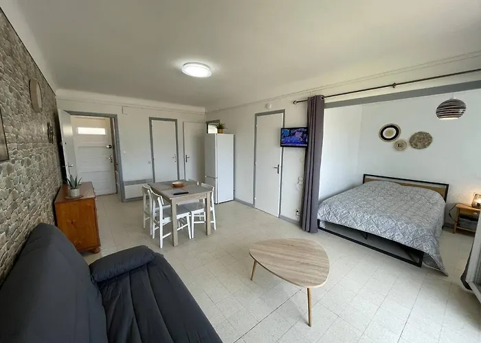 Appartement 4 Pers. En Bord De Avec Balcon, Parking Et Animaux Admis à Saint-cyprien. - Fr-1-106-94 Saint-Cyprien (Pyrenees-Orientales)