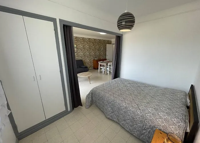Appartement 4 Pers. En Bord De Avec Balcon, Parking Et Animaux Admis à Saint-cyprien. - Fr-1-106-94 Saint-Cyprien (Pyrenees-Orientales)
