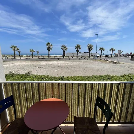 Apartment 4 Pers. En Bord De Avec Balcon, Parking Et Animaux Admis A Saint-cyprien. - Fr-1-106-94
